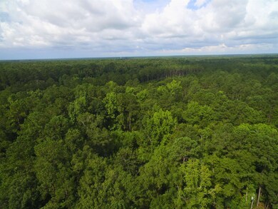 193 Northwood Ln, Crawfordville, FL 32327 - photo 4