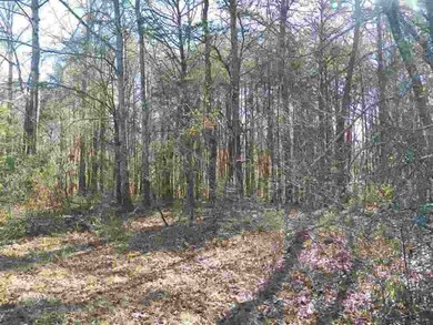 00 Blue Ridge Riding Club Rd, West Union, SC 29696 - photo 7