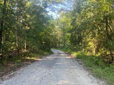 13.37 Acres Boyd Rd, Covington, LA 70435 - photo 6