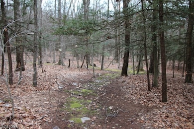 0 Mount Benevolence Rd, Stillwater Township, NJ 07860 - photo 3