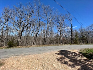 Lot 8 Ilsle Ln, Bella Vista, AR 72714 - photo 5