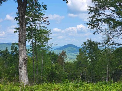 000 Severance Rd, Hillsboro, NH 03244 - photo 3