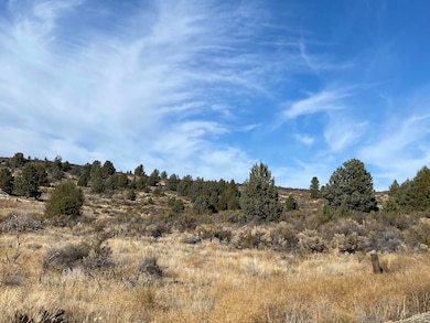 NKA Curry St, Chiloquin, OR 97639 - photo 2