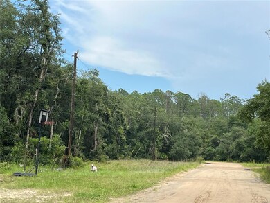 TBD Rintz St, Interlachen, FL 32148 - photo 7