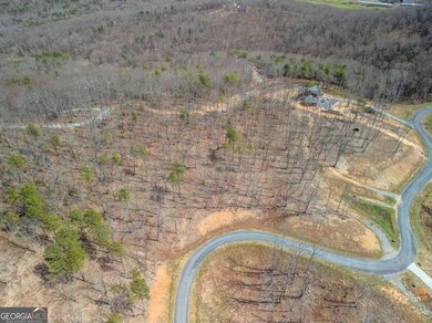 Lot 67 High Summit Dr, Talking Rock, GA 30175 - photo 3