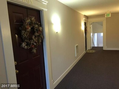 8805 Stoneridge Cir unit 203, Pikesville, MD 21208 - photo 4