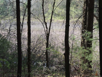 730 Clayton Rd, Sheffield, MA 01222 - photo 6