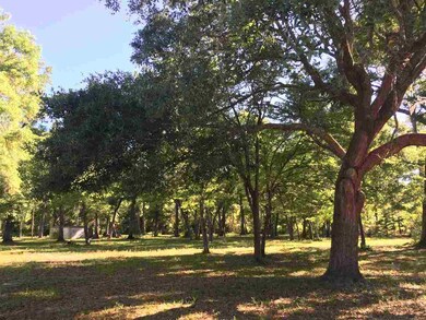 19 Beechwood Dr unit 1, Crawfordville, FL 32327 - photo 5