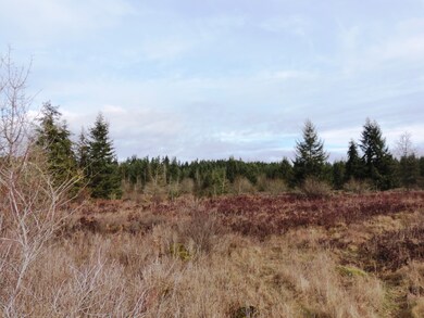 14 Brenda Ln SE, Yelm, WA 98597 - photo 2