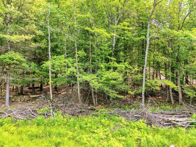 TBD Boulder Brook Lot 13b Rd, Windham, NY 12496 - photo 7