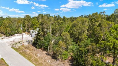Drone / aerial view of a forest
