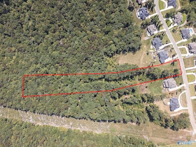 14 Watson Grande Way SE, Owens Cross Roads, AL 35763 - photo 6