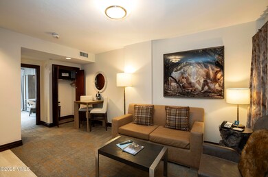 26 Avondale Ln unit 313-H, Beaver Creek, CO 81620 - photo 6