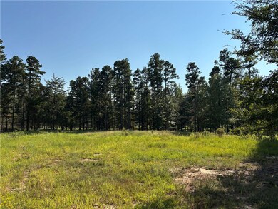 000 Rattlesnake Ln, Pottsville, AR 72858 - photo 5