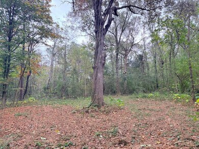 Tbd Union Church Rd unit LotWP001, Magnolia, MS 39652 - photo 6