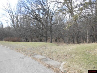 0 W 1st St unit 7004164, Blue Earth, MN 56013 - photo 2