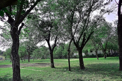 315 S 6th St, Donna, TX 78537 - photo 6