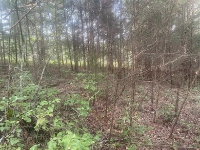 3 Countryside Dr, Dunlap, TN 37327 - photo 5