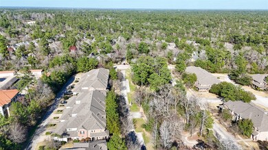 31 W Pipers Green St, Spring, TX 77382 - photo 2