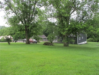 Check Out This Yard!
