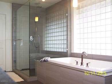 Master Tub and Shower