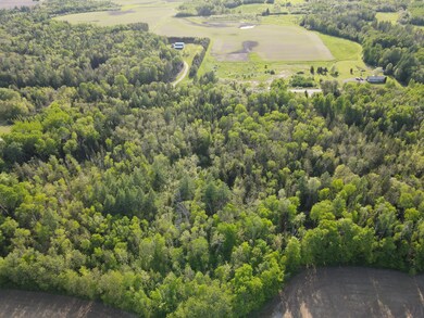 dji_fly_20250603_171510_113_174916046919