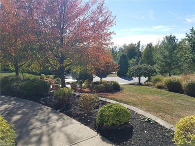 Serene view from the front door.