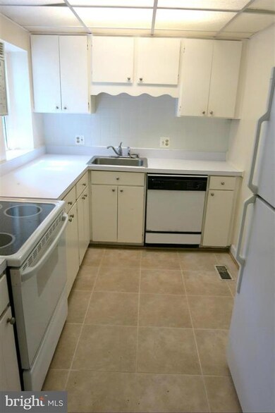 2932 S Columbus St unit 3290, Arlington, VA 22206 - photo 5
