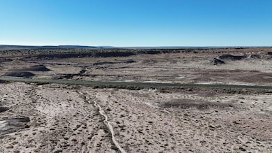 Unnamed Dirt Rd unit Apache AZ, Sanders, AZ 85936 - photo 2