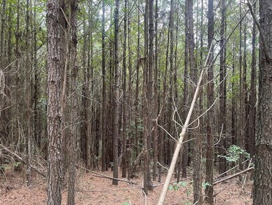 0 K T Rd, Carthage, MS 39051 - photo 7