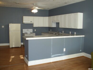 117 E Springfield St, Virginia, IL 62691 - photo 6