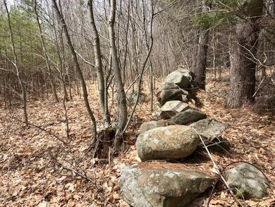 0 New Settlement Rd, Hiram, ME 04041 - photo 6