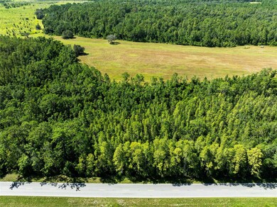 0 Deen Still Rd unit MFRO6337157, Polk City, FL 33868 - photo 3