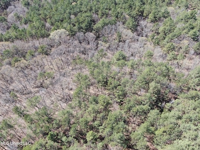 DJI_0510