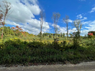 IMG_1372