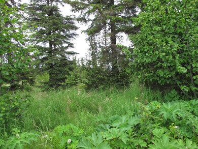 Trees and meadow