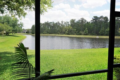 view from patio