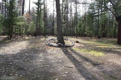 7574 N Centerline Rd, Brohman, MI 49312 - photo 6