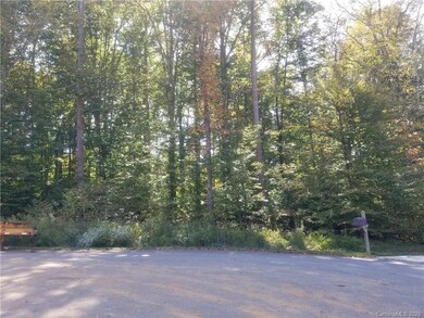 106 Wildeman Trail, Statesville, NC 28625 - photo 2