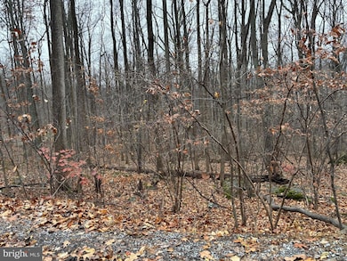 L12 Apple Mountain Lake S, Linden, VA 22642 - photo 2