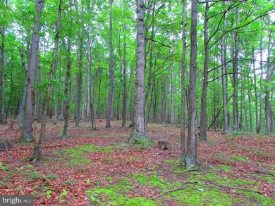 13 Rock Slide Way, Romney, WV 26757 - photo 7