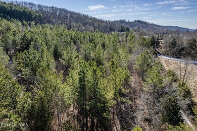 5 acres S Nopone Valley Rd, Decatur, TN 37322 - photo 6