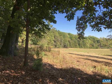 0 Tilman Rd unit 585959, Charlottesville, VA 22901 - photo 5