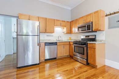 29 E Concord St unit 2, Boston, MA 02118 - photo 4