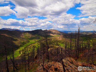 0 Davis Ranch Rd unit 785073, Bellvue, CO 80512 - photo 4