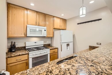 1825 Grove Ave unit 76A182, Schaumburg, IL 60193 - photo 5