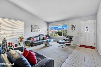 Living Rm with Mtn View