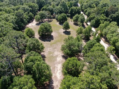 DJI_0447