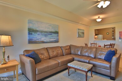 8608 Fluttering Leaf Trail, Odenton, MD 21113 - photo 7