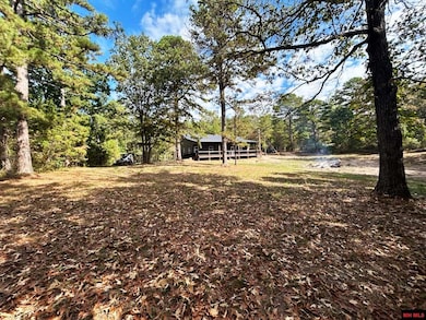 109 Jones St, Calico Rock, AR 72519 - photo 4